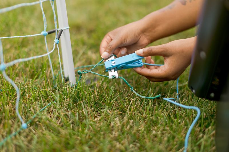 Electric Fencing Creates Boundaries