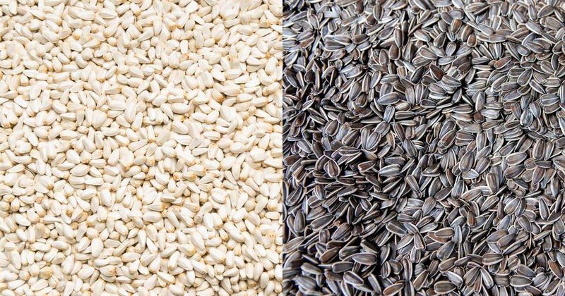 Switch To Safflower Seeds