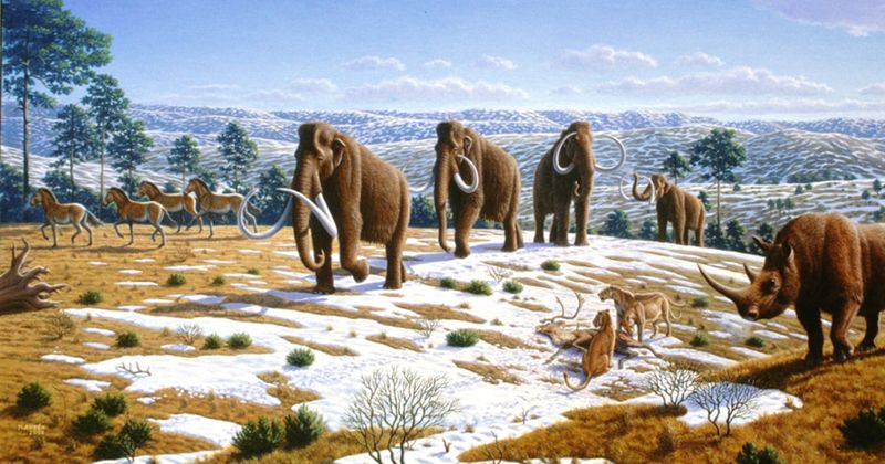 Evidence Shows Mammoths Were Intentionally Driven In