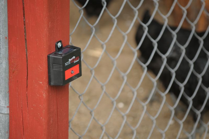 Secure Coops With Predator-Proof Locks