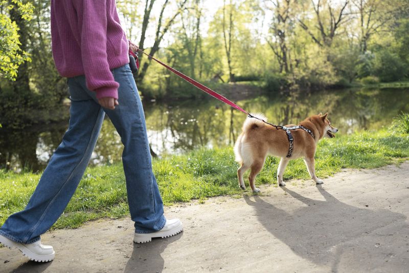 Parallel Walking Method
