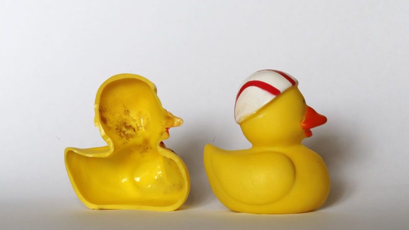 Water Toys With Mold Growth