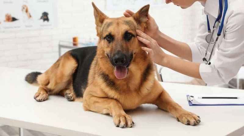 Health Issues Can Be Costly