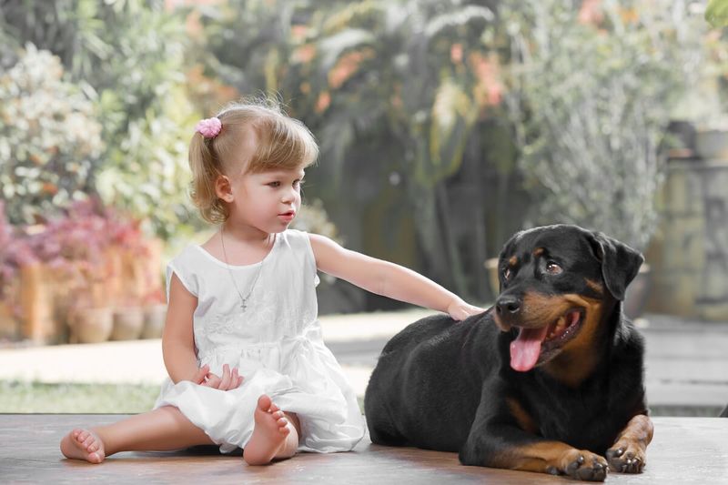 Family Compatibility Reveals True Nature