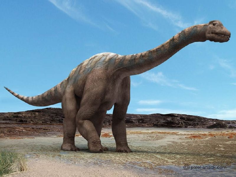 The Mystery Of Its Extinction