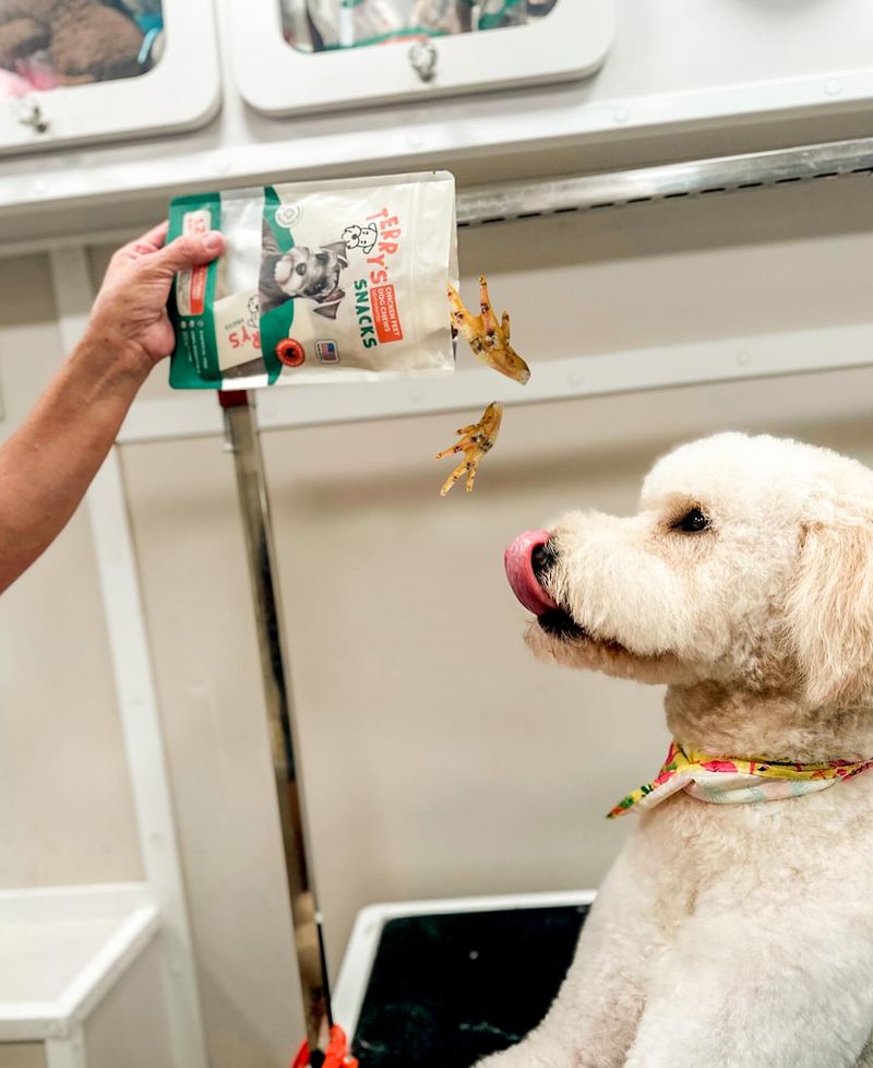 Treats And Snacks
