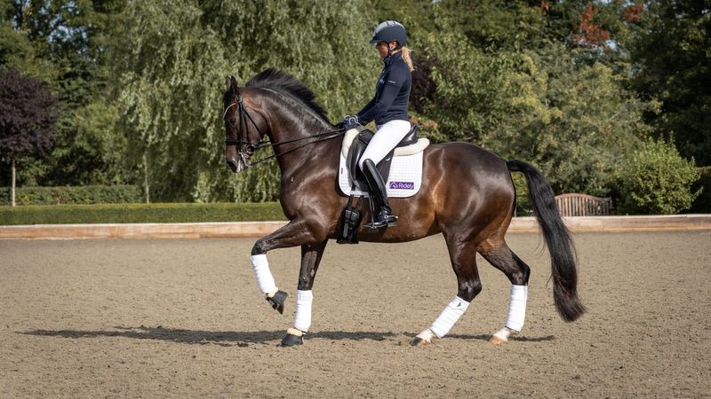 Canter