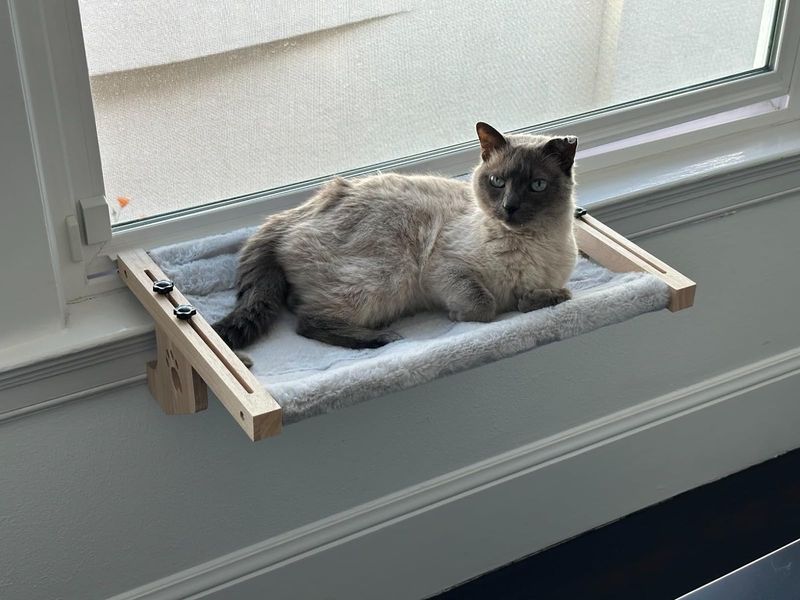Provide Window Perches