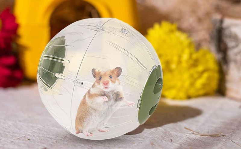 Hamster Ball Excursions