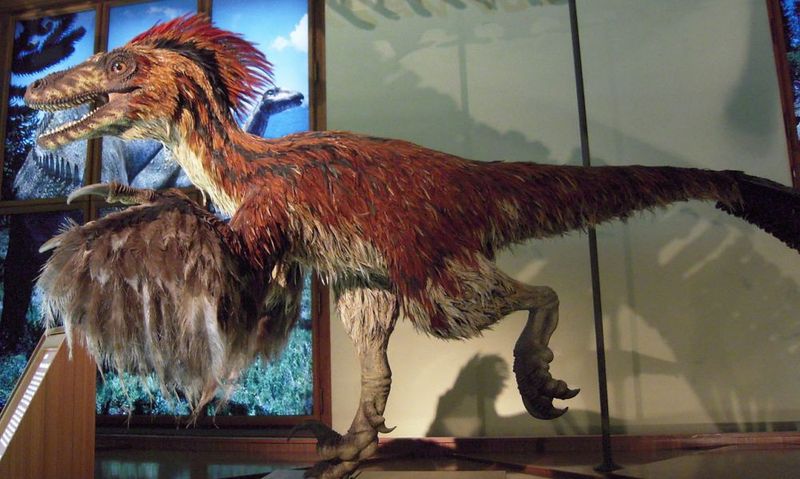 Feathered, Not Scaly