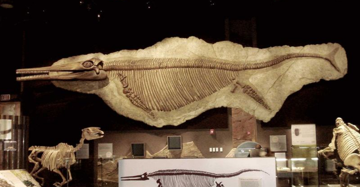 USA’s Largest Fossilized Animals Ever Found