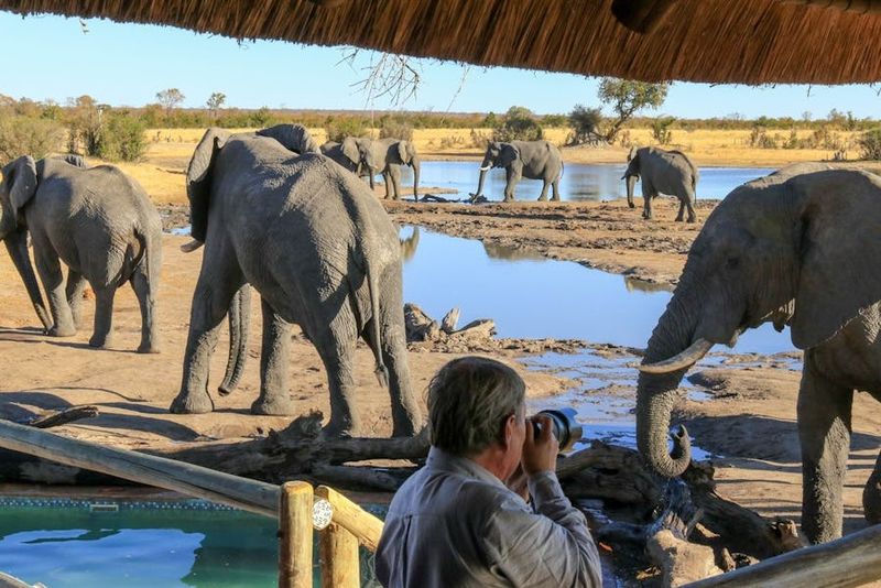 Hwange National Park, Zimbabwe