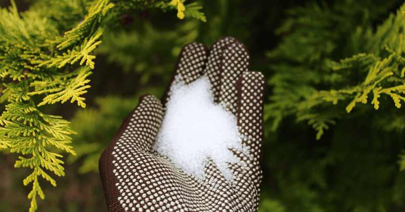 Epsom Salt Ruins Their Appetite