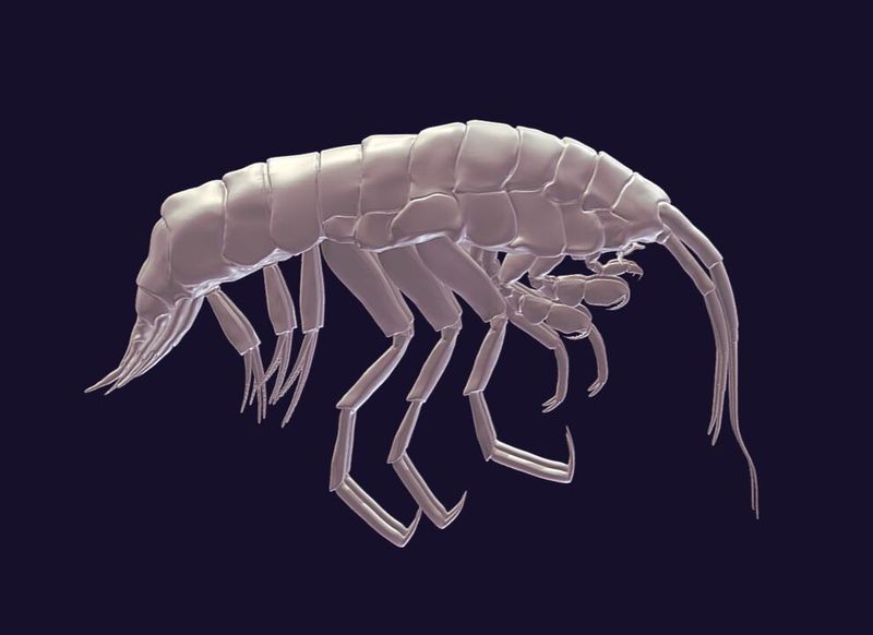 A New Genus (Yes, Really)