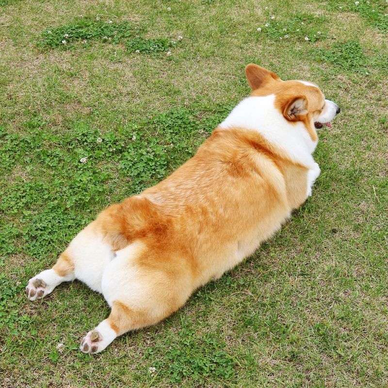 Resting In Odd Positions