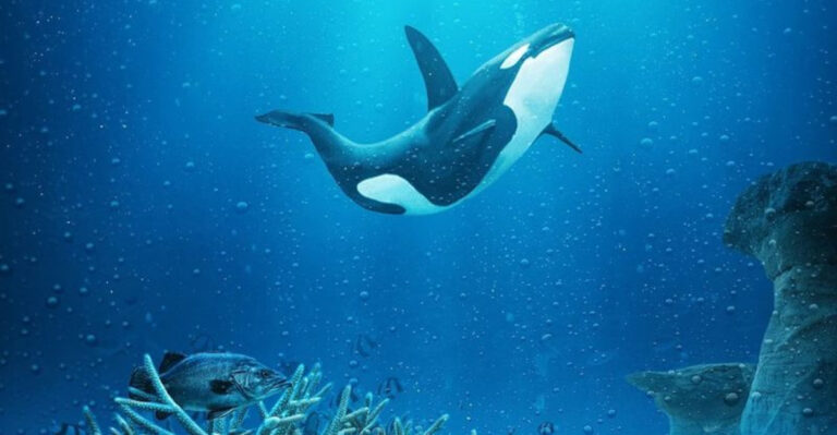 Underwater Warfare: 12 Times Orcas Outsmarted The Ocean’s Toughest Predators