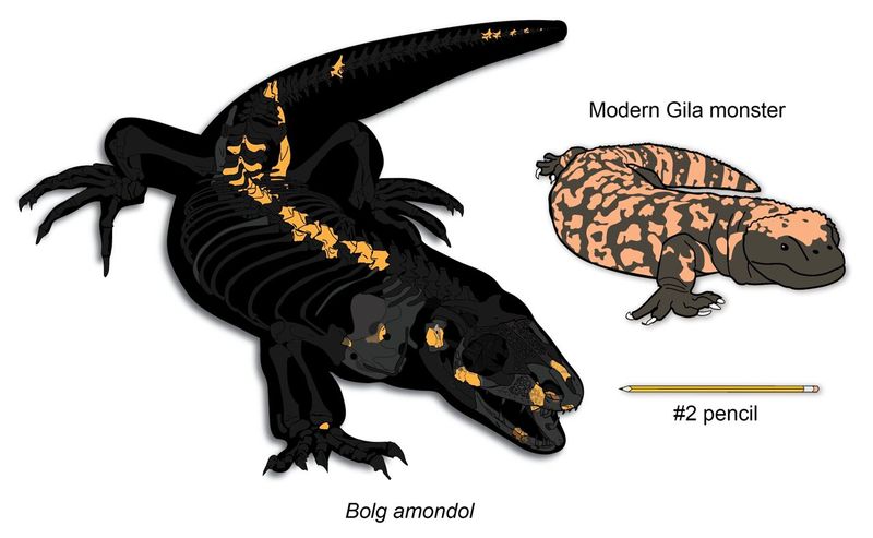 Introducing Bolg Amondol: The New Dinosaur Species From The Late Cretaceous