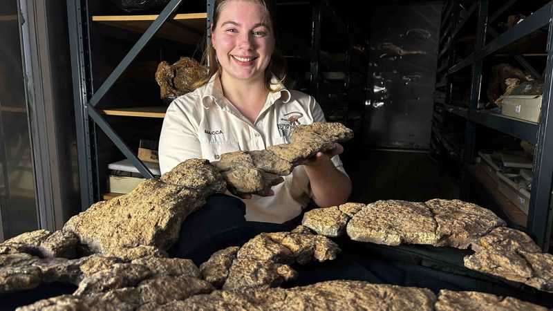Meet Judy: The Juvenile Sauropod That Changed Paleontology