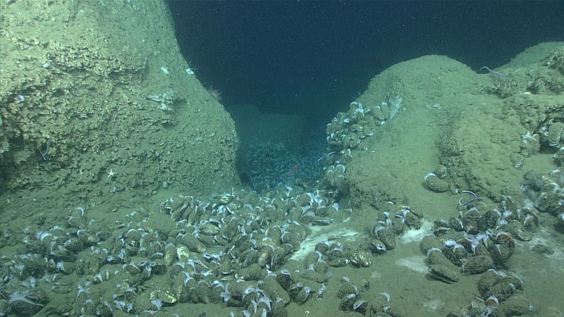 Habitat At The Edge Of Exploration