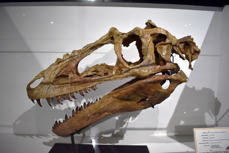 Strange Hunting Adaptations