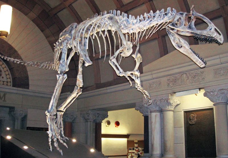 Extreme Fossil Hunting