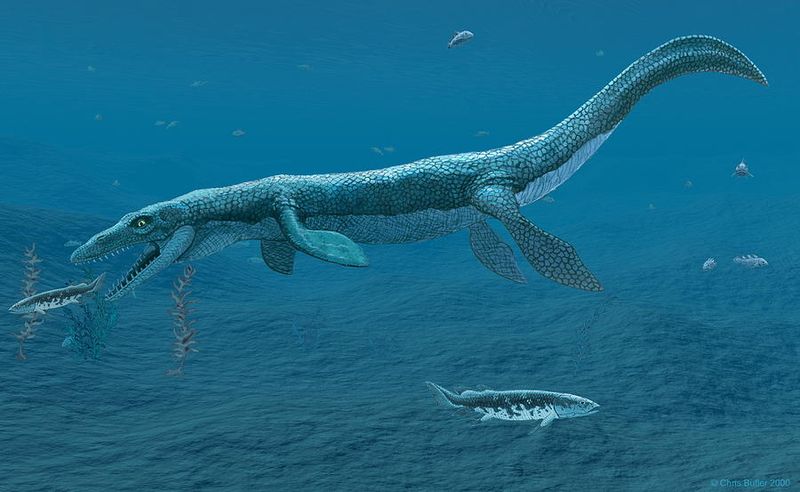 Mosasaur – The Real 'Sea Dragon'