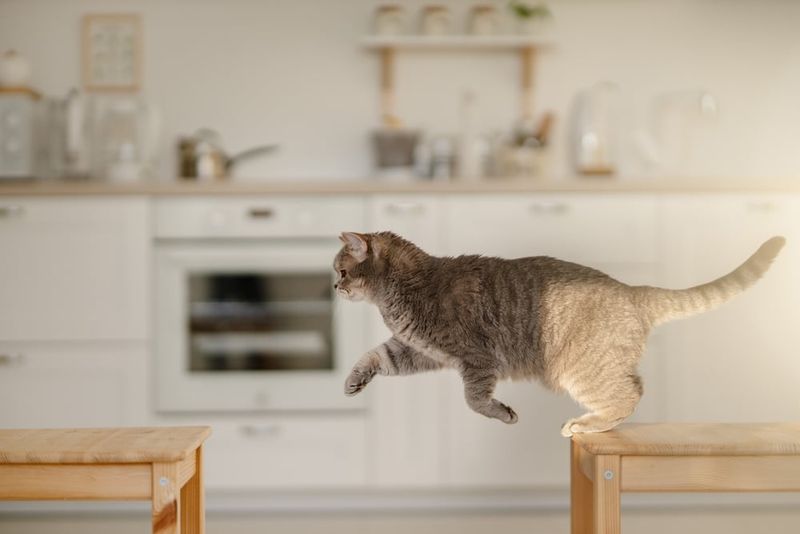 Gait Or Jump Reluctance
