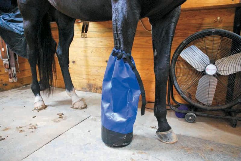 Regular Hoof Soaks