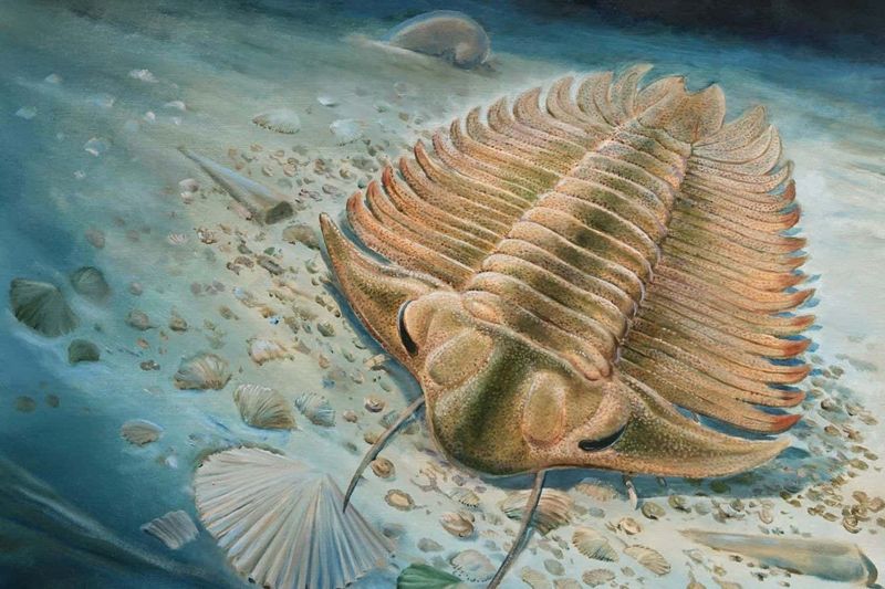 Ancient Evolutionary Origins