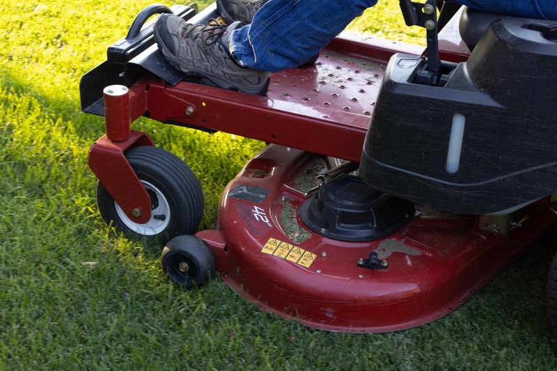 Keep Grass Short And Vegetation Thinned