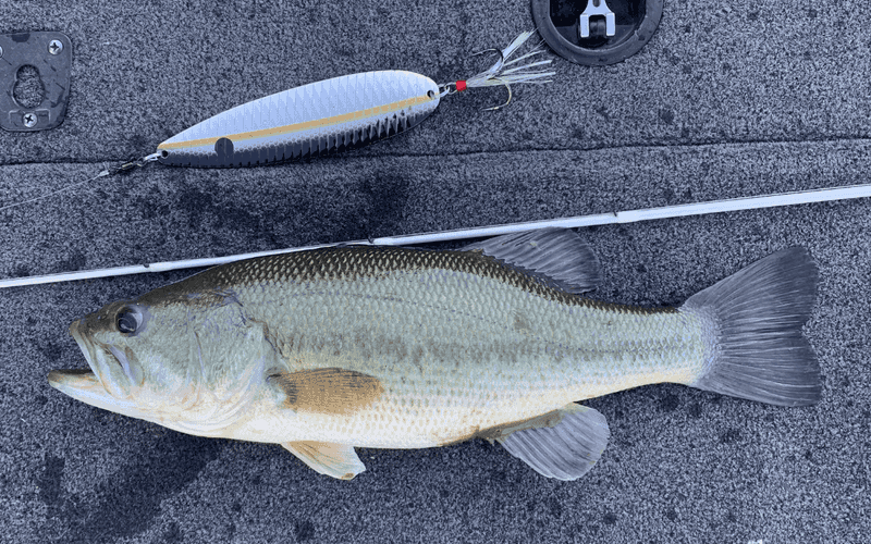 Suspended Stick Bait Trick