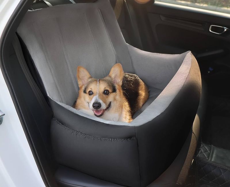 Invest In A Booster Seat For Small Dogs