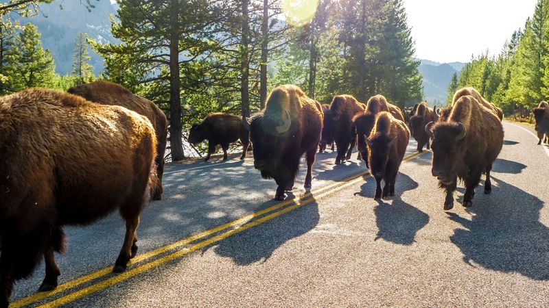 Avoid Blocking Their Path