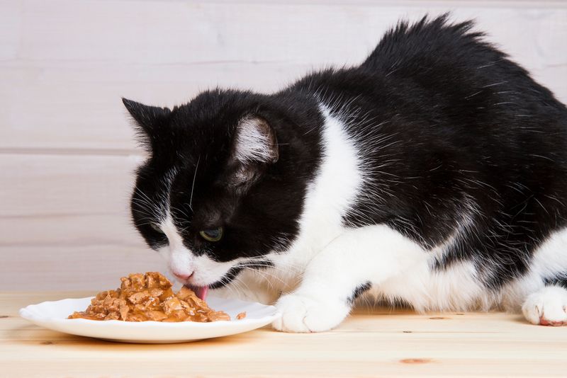 Offer More Frequent, Smaller Meals
