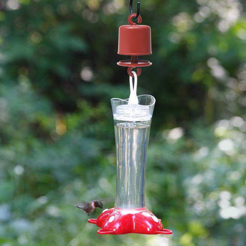 Place The Feeder On A Smooth Surface