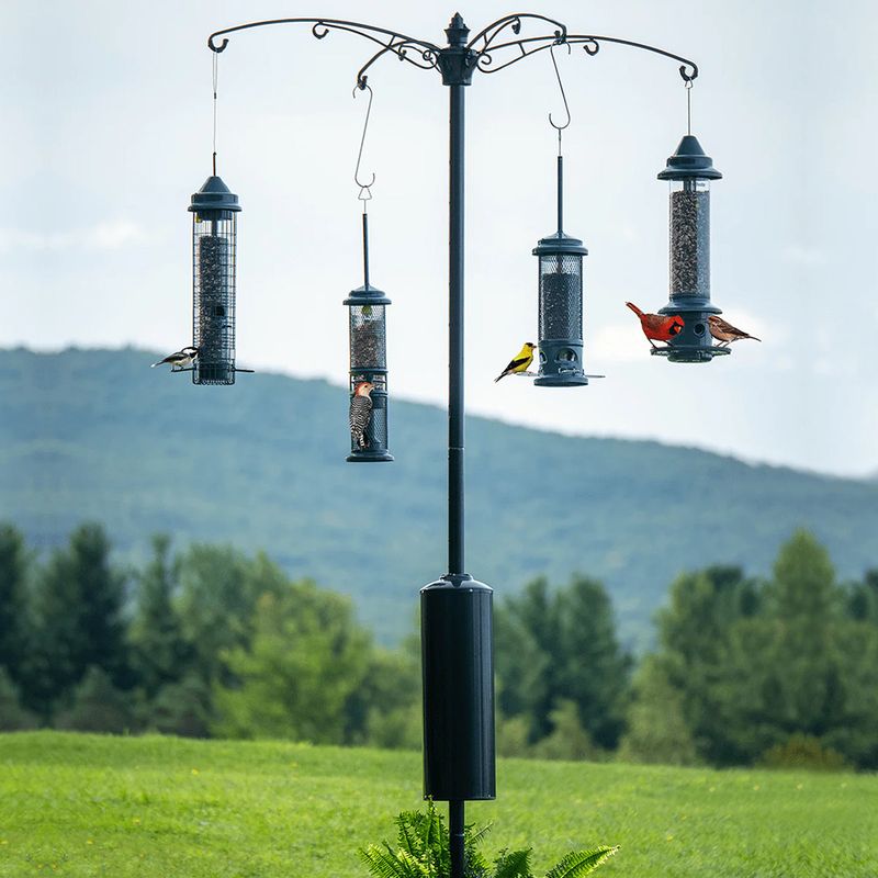 Elevate Your Bird Feeders