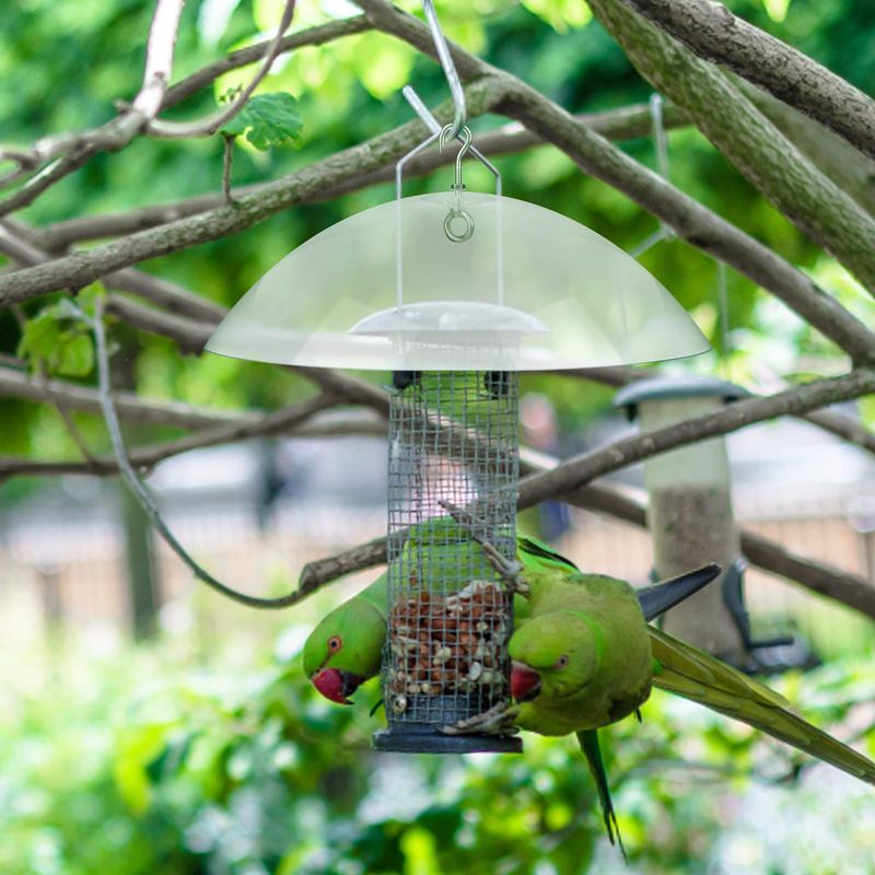 Secure The Area Around Your Feeders