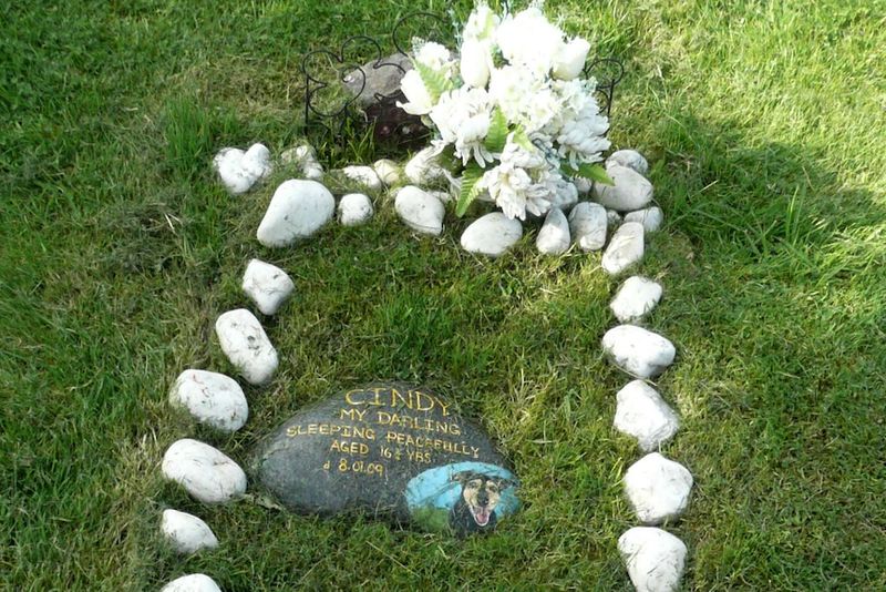 Shallow Graves Pose Health Risks