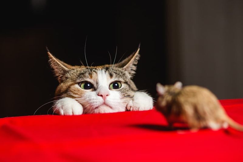 The Gift Of Unwanted Surprises