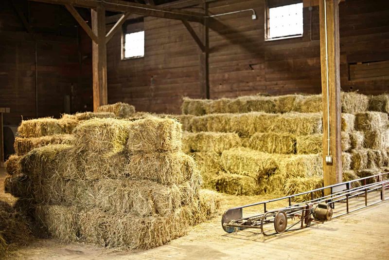 The Hay Storage Nightmare