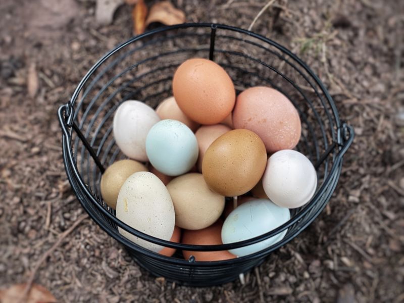 The Egg Avalanche Is Real