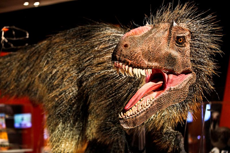Dinosaurs Were All Scaly Like Lizards