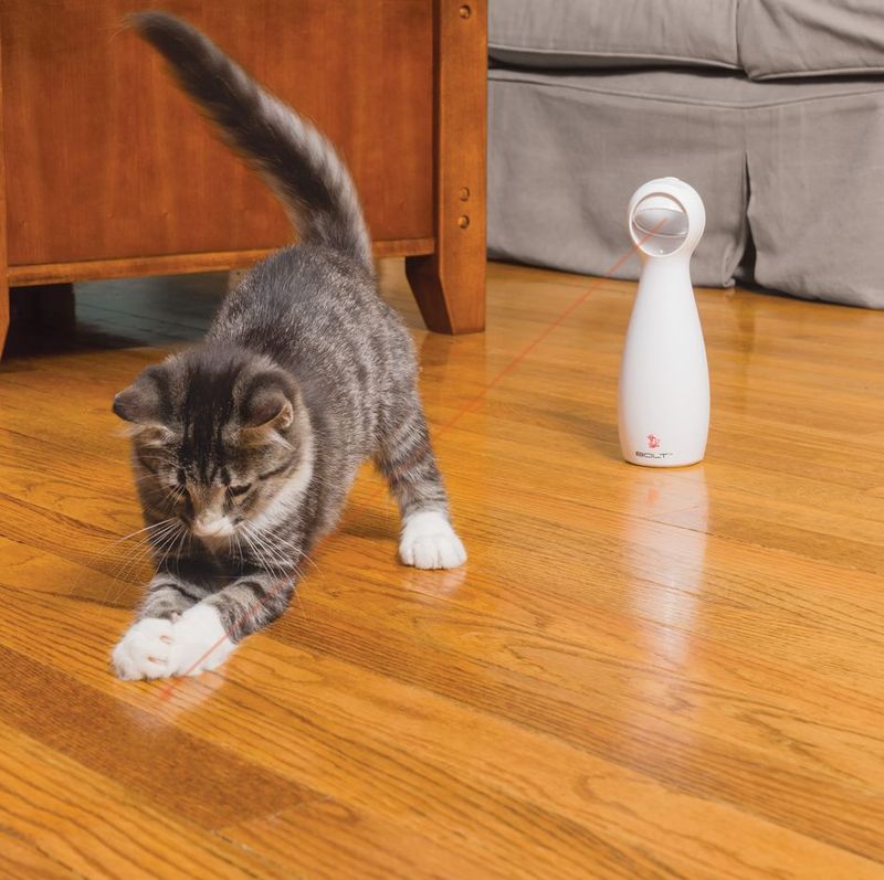 Interactive Laser Toy
