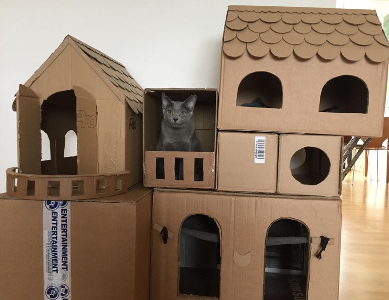 Cardboard Box Kingdom