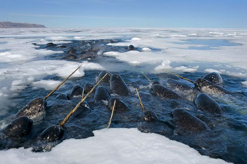 Climate Change Threatens Their Home