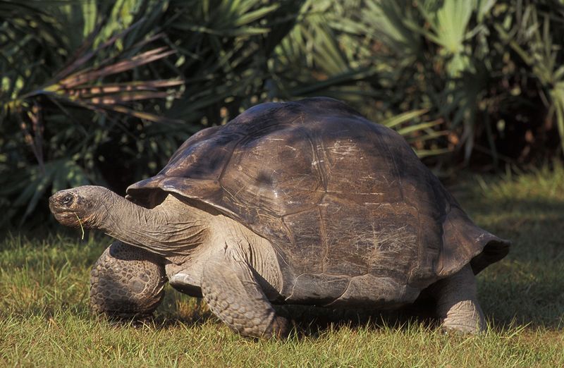 Zookeepers Say He's Still Full Of Personality