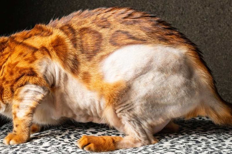 Changes In Grooming Habits