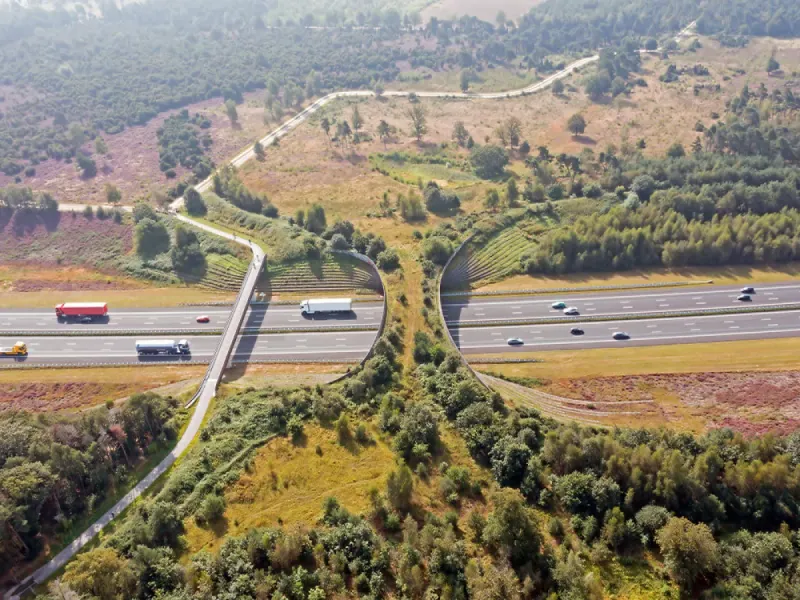 Support Wildlife Crossings And Corridors