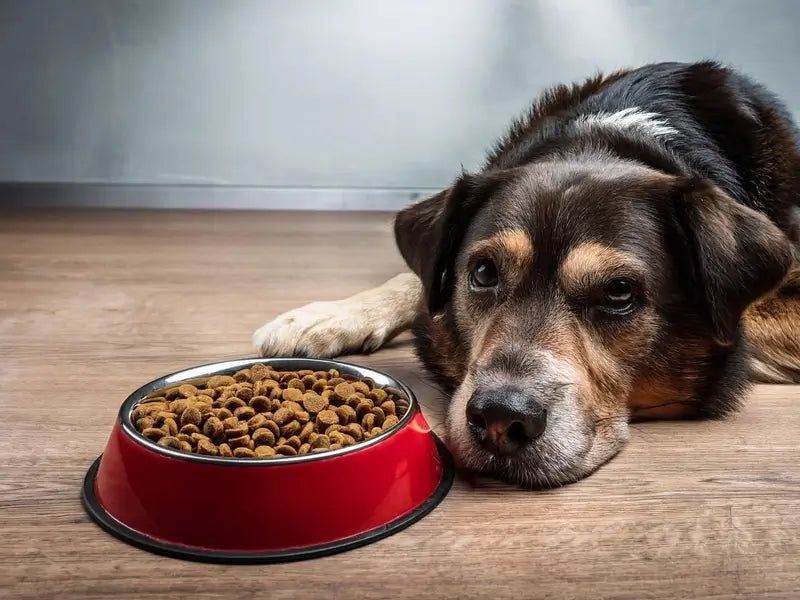 Loss Of Appetite