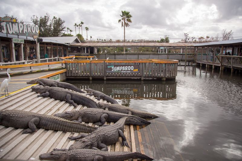 Gatorland Orlando
